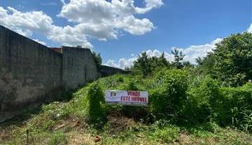 WhatsApp Image 2026-02-13 at 17.29.52.jpeg